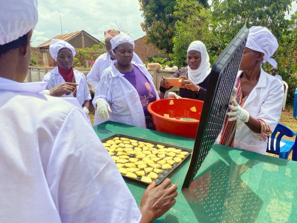 Transformation agro-alimentaire